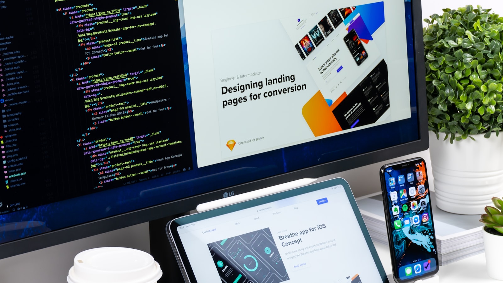 Web Design